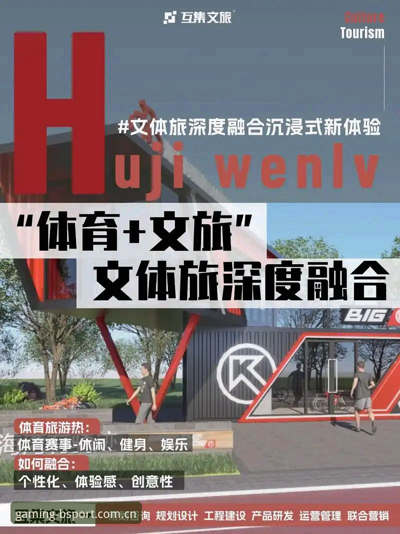B体育官网下载全流程深度分析：从官方渠道到使用体验的详细解读